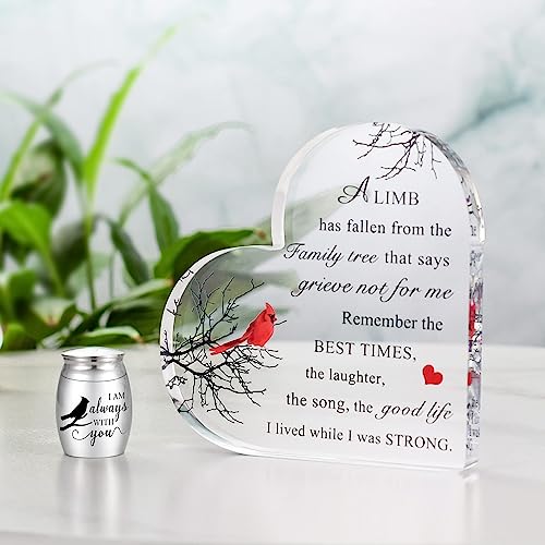 Cardinal Medium Urns for Adult Female Memorial Gifts - Keepsake Urns for Ashes Cardinal