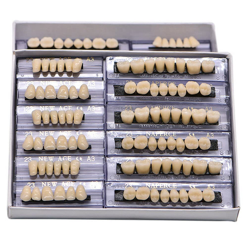 [Australia - AusPower] - 168Teeth Dental Synthetic Resin Tooth Denture Dentistry for Halloween Horror Teeth,Dental Education,Dental Teeth Teaching Model (23A3(6SET)) 23a3(6set) 
