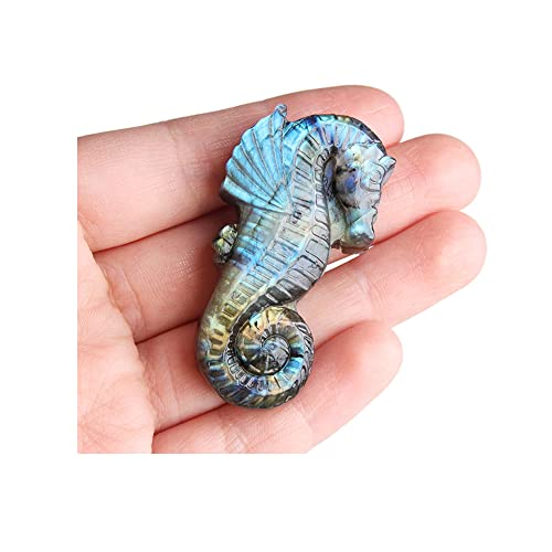 Wixine1Pcs Labradorite Hand Carved The Sea Horse Quartz Crystal Healing