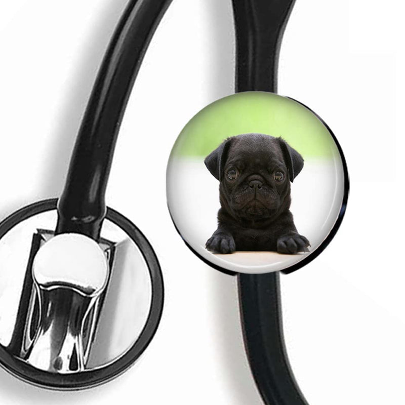 [Australia - AusPower] - CHNLML Stethoscope Name Tag Nurse Doctor Stethoscope ID Tag Customized Steth ID Tag (Black Pug Puppy) Black Pug Puppy 
