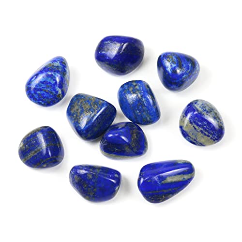 Tumbled Polished Natural Lapis Lazuli Stone, Chakra Stones(10Pcs) Blue