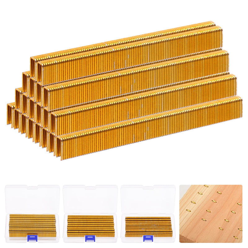 [Australia - AusPower] - Hilitchi 2000Pcs 1/2 Inch 18 Gauge Narrow Crown Staples, Gold Brad Nails Gun Nails 18 Gauge Galvanized Finish Staples with Storage Case 