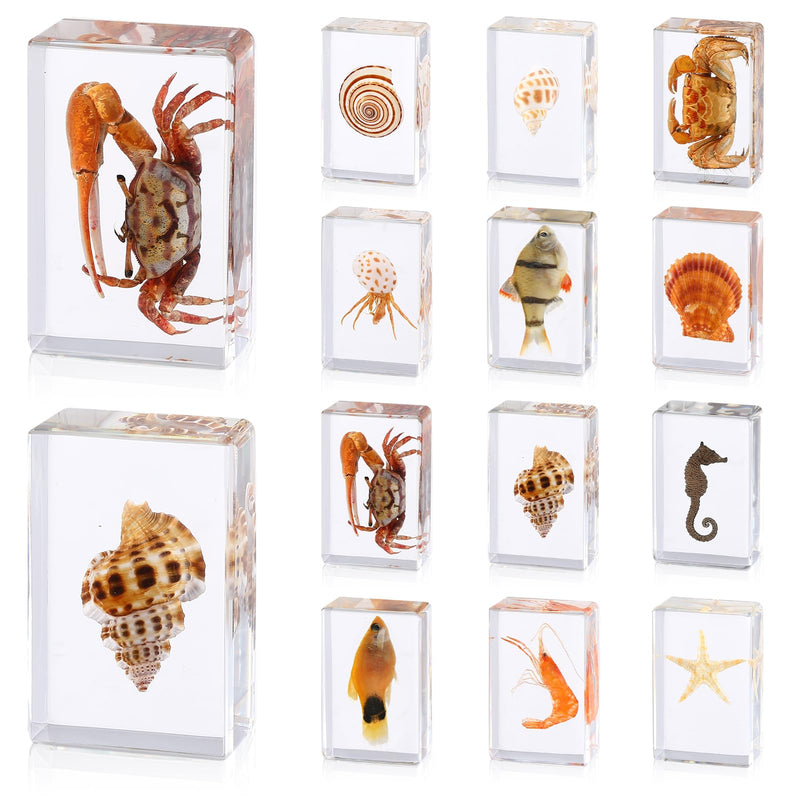 [Australia - AusPower] - 12 Pcs Ocean Animal Insect in Resin Specimen Bugs Collection Paperweights?12 Styles Real Bug Specimen Bug Kit Preserved in Resin for Scientific Educational Display Supplies (Ocean) 