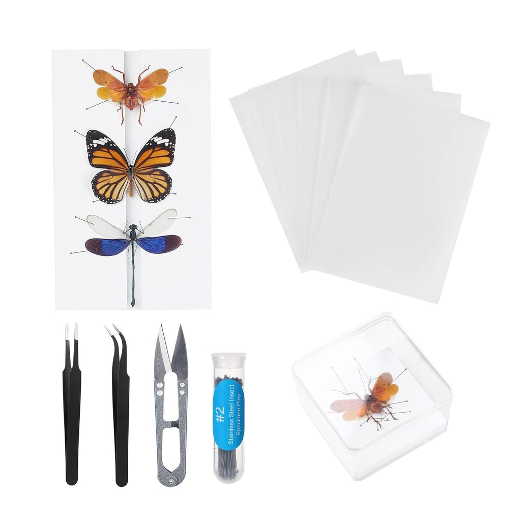 Making Insect Specimen Tools Kit, Insect Pins,Insect Pinning Board, Wings Pressing Paper,Tweezers, Scissors, Insect Display Case, Insect Collection for Bug Hobbyist/Biology Projects