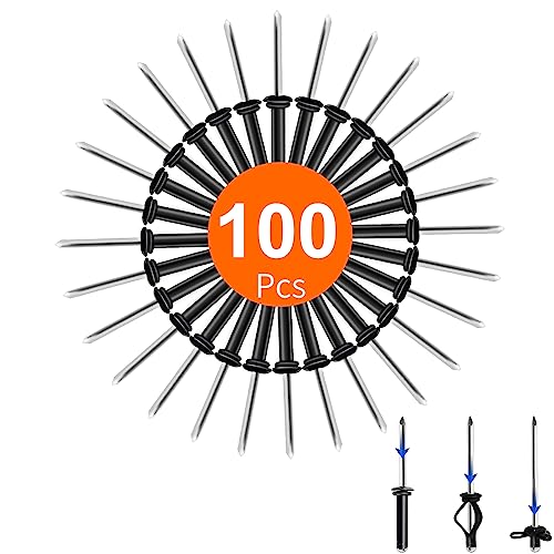 HLOGREE 100-piece silver 3/16 x 1-inch waterproof tri-fold blind rivets for kayaks