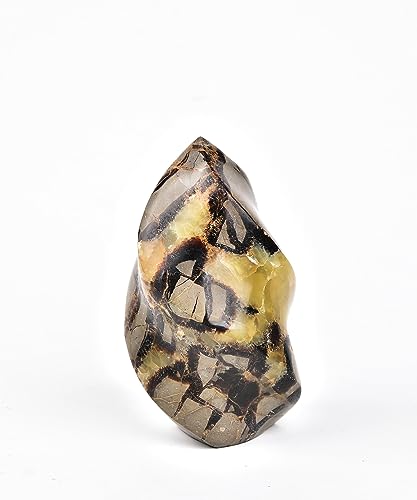 AMOYSTONE Large Septarian Decorative Stone Tower 1-1.4lb | Dragon Flame Crystal | Meditation Altar & Witchcraft Decor Brown