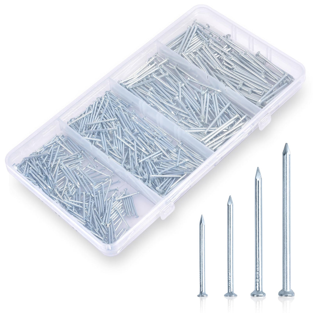 Nail for Hanging Pictures Assortment Kit - 650Pcs Small Nails, Finishing Nails, Hanging Nails, Picture Nails, Wall Nails for Hanging, Pin Nails A. 650Pcs Nails