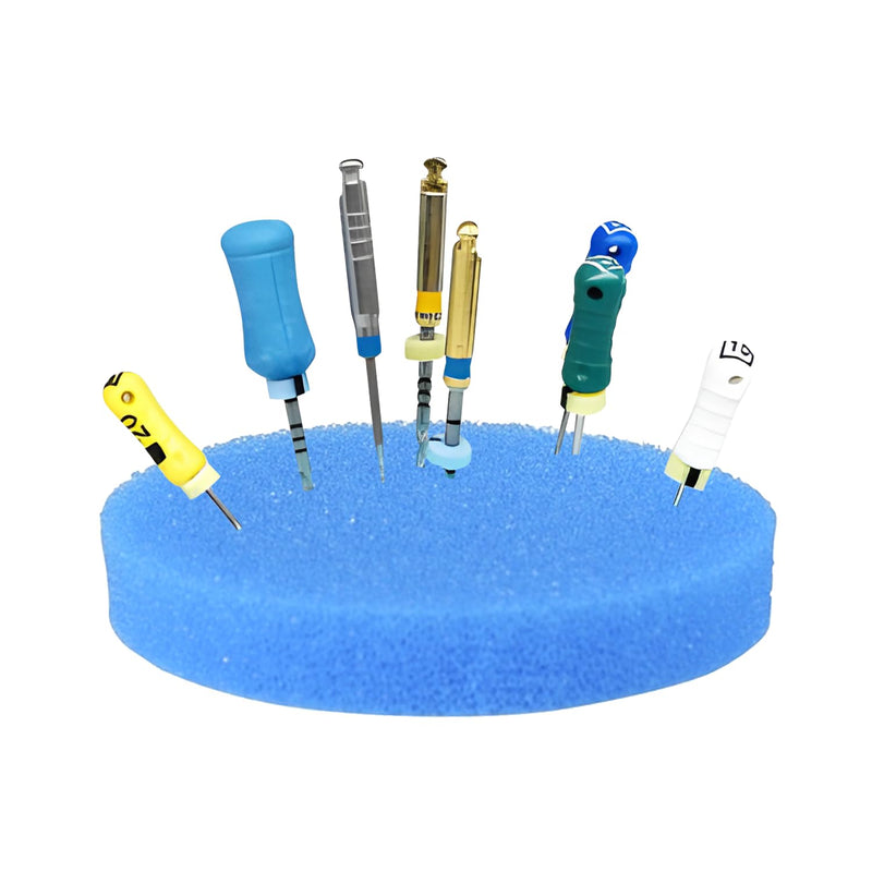 [Australia - AusPower] - PlastCare USA Premium Blue Round 2.5" Endodontic Foam – Pack of 50 Sponges for Optimal Dental Procedures & Root Canal Treatments 