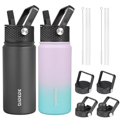 BJPKPK 2 Pack 18oz Insulated Water Bottles with Straw Lids, Stainless Steel 18 oz Lavender Green+Black