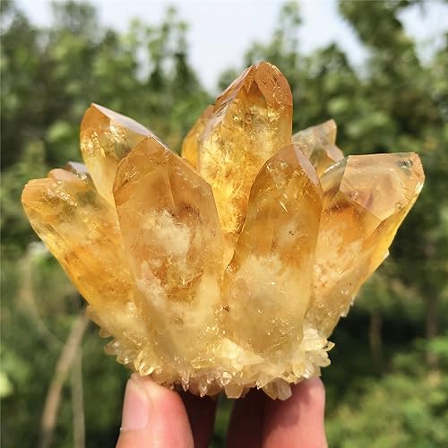 Citrine Quartz Cluster Reiki Healing Irregular Shape & Size Natural Crystal Point Mineral Crystal Specimen Home Decor (200~300g) 200~300g