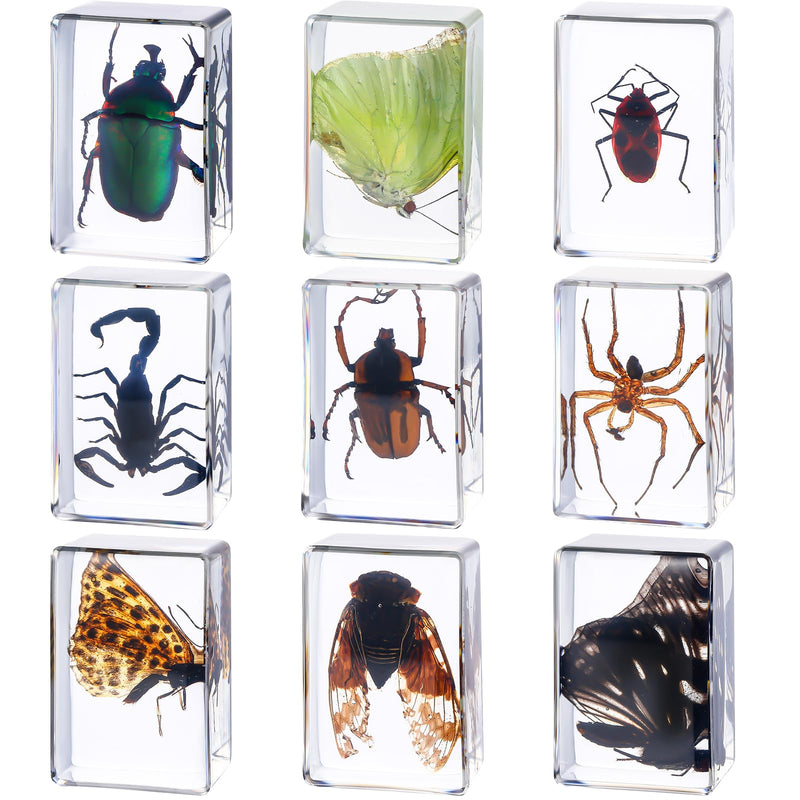 [Australia - AusPower] - 9 Pcs Insect in Resin Specimen Bugs Collection Paperweights Arachnid Butterfly Bug Toys Different Real Bugs in Resin Educational Science Classroom Specimens Display Supplies, 9 Styles 