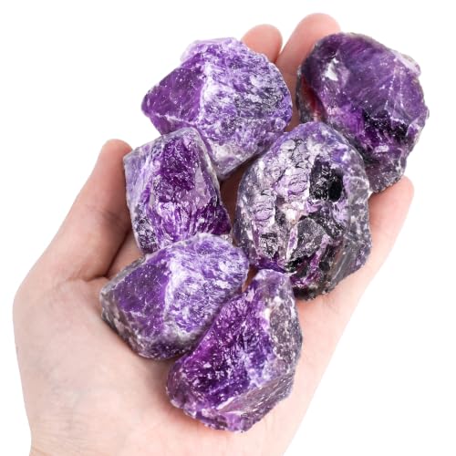 JOHOUSE 6 PCS Amethyst Crystal with Jar, 0.66LB Raw Quartz Purple