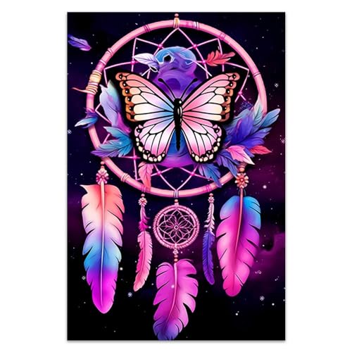 PooBa Frameless Canvas Wall Art Print,Dream Catcher Feather Wall Art,Medium Size Oil Painting Decor Artwork for Living Room Bathroom Bedroom 12x18in
