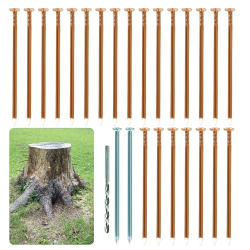 BMIROAMDFE solid pure copper masonry nails, 3.48-inch tree stump killing spikes, 22 copper and 26 steel nails