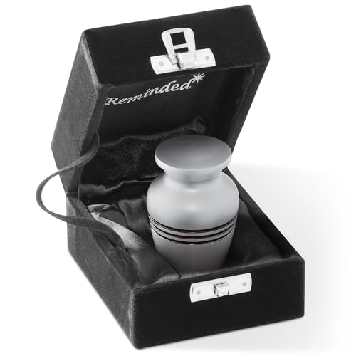 Reminded Small Cremation Memorial Urn for Human Ashes, Silver with Black Striped Miniature Keepsake Urn with Velvet Case Silver Stripes