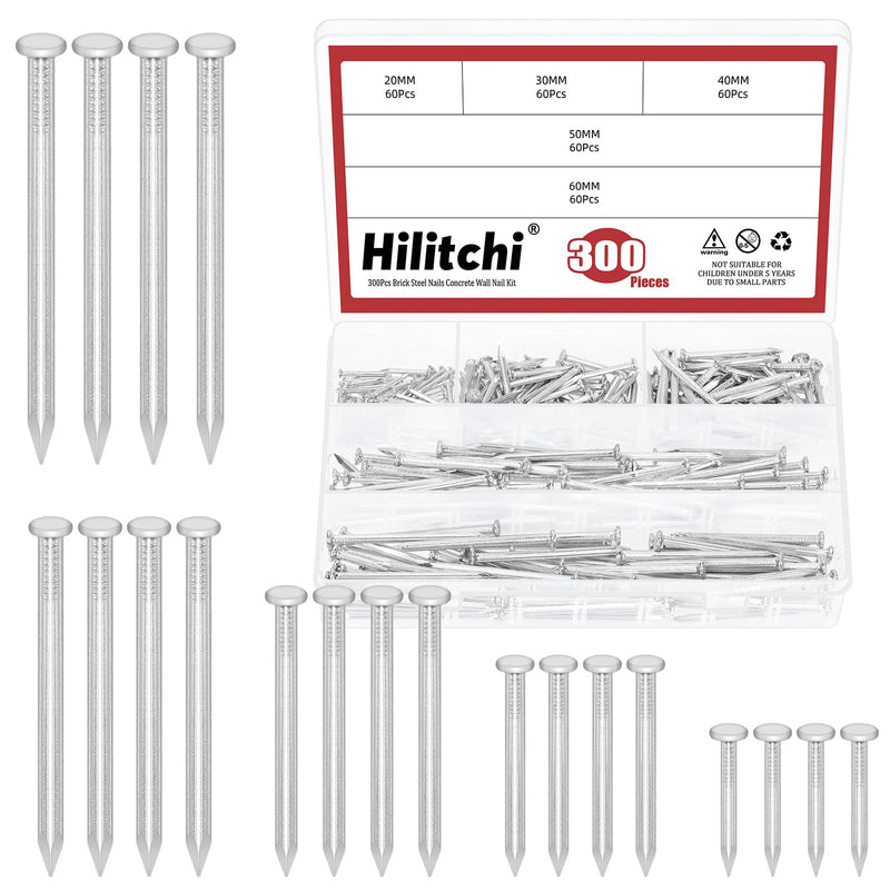 [Australia - AusPower] - Hilitchi 301PCS 5 Sizes Brick Steel Nails Assortment Kit 0.78" 1.2" 1.58" 2" 2.36" Galvanized Concrete Wall Nail Cement Nails for Concrete Brick Drywall(White) White Zinc 