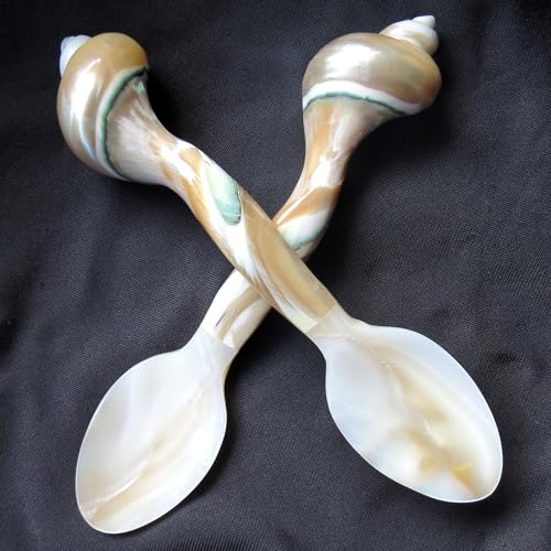 Set of 02 Spoons Shell Spoon Mother of Pearl Caviar Spoons W Round Handle for Caviar, Egg, Ice Cream, Coffee, Restaurant Serving (2 Pieces,7 Inches)