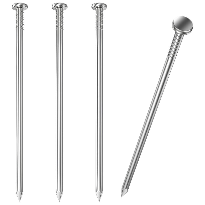 [Australia - AusPower] - 20PCS Hardware Nails, Wood Nails, Long Nails, Galvanized Concrete Wall Nail for Hanging Pictures and Woodworking, Cement Nails Suit for Drywall and Pine 5 In (20 Nails) 