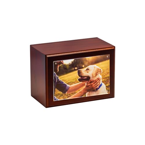 Companion Photo Urn with Acrylic Magnetic Picture Frame for Human and Pet Ashes, Cremation and Aquamation Urn for Adults, Infants, and Pets, Memorial Keepsake Urn (Walnut, Small) Walnut