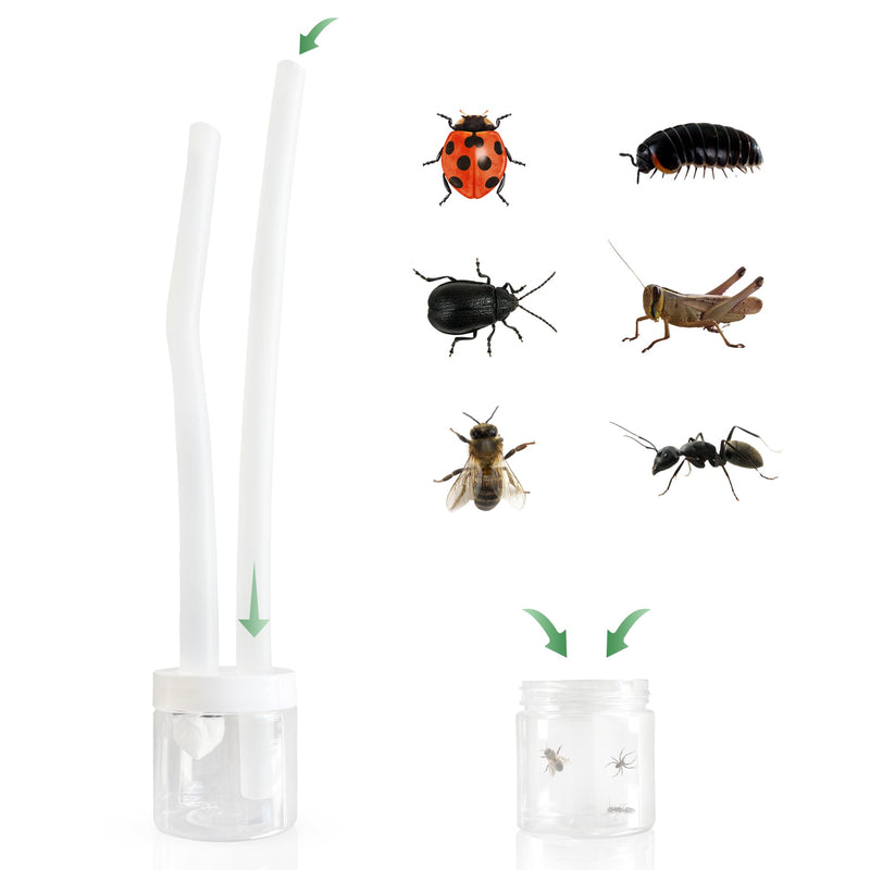 [Australia - AusPower] - Insect Pooter | Insect Capture Device for Budding Entomologist and Kid Biologist by Snout and Shell 