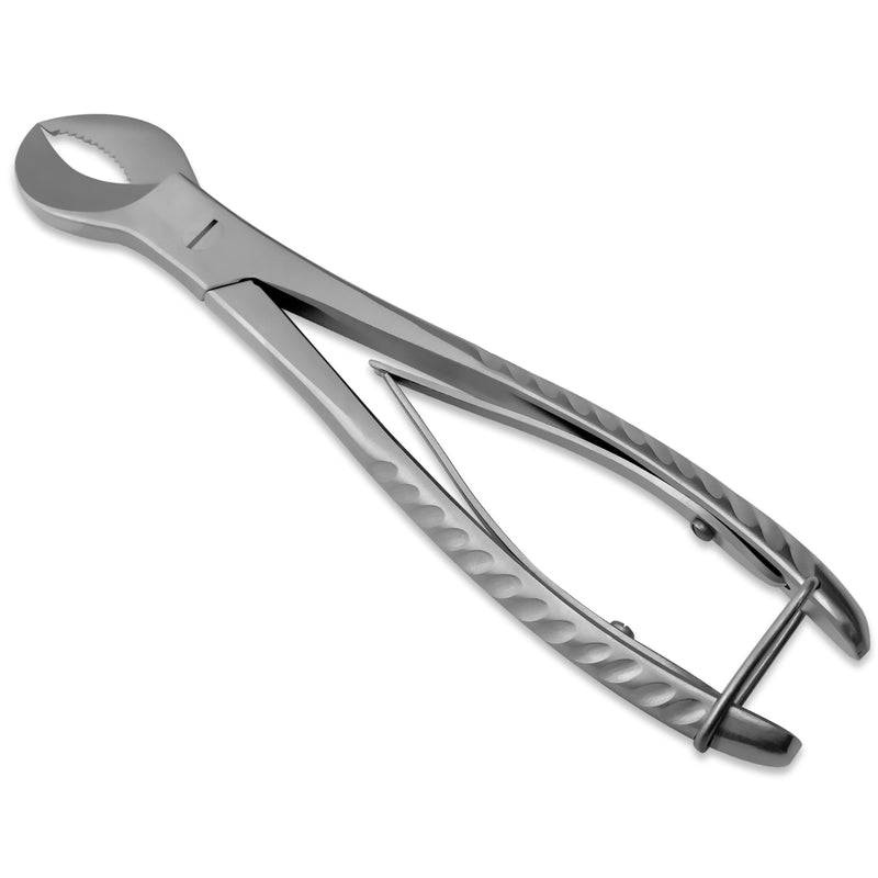 [Australia - AusPower] - Stainless Steel Dental Pliers Plaster Nippers Cutter Dentist Lab Equipment, Cow Horn Jaws, Serrated Blade, Spring Action 8" 
