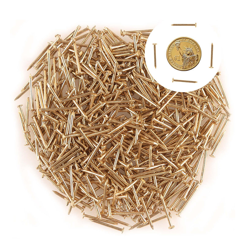 [Australia - AusPower] - newlng 500PCS Small Nail Round Head Tiny Nails String Art Nails Hand-Made Hardware Accessories Fasteners Mini Nails 1.5mm X 20mm/0.06"X0.8"(DXL) Golden Golden1.5*20mm 