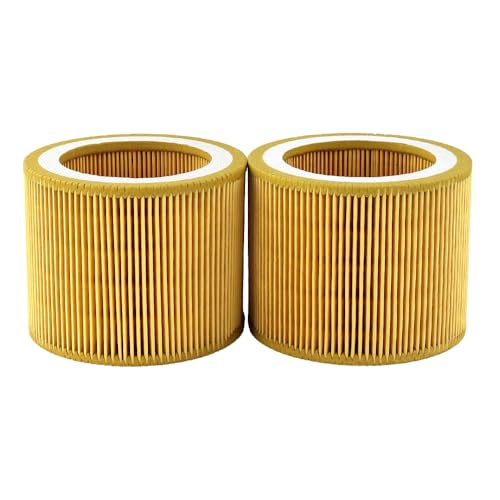 TFLOSPR air filter replacement parts for compressed air treatment, 2-piece set 88171913 and 1613900100