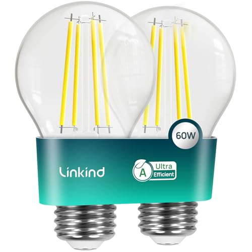 Linkind Ultra Efficient E27 Vintage Bulb, 3.8 W = 60 W, 2700 K Warm White with Energy Class A, Filament A60 Edison 806 Lm, 320° Beam Angle, Clear, Pack of 2 Warm White-60w 2 pieces