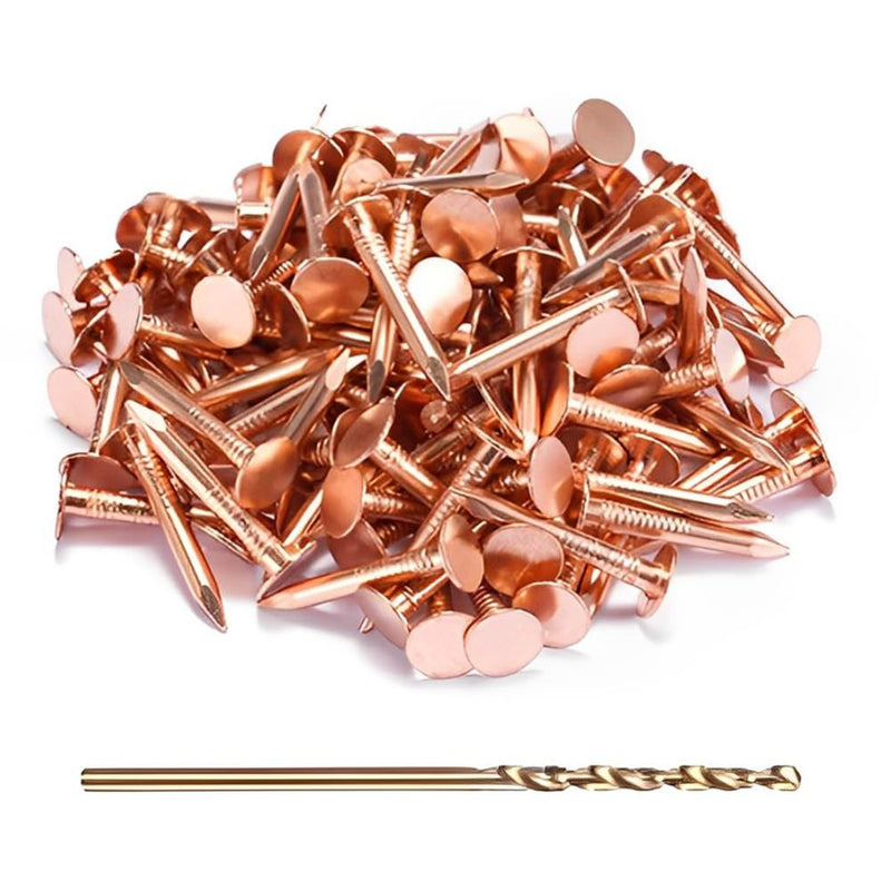 GOORY 500Pcs Copper Nails 1 Inch - with 1/16 Inch Drill Bit - 99.95% Pure Copper Roofing Nails Slate Spikes Flashing Furniture Boat for Roof Repair, Tree Stump Remover, DIY Project 500 Pcs 1" Copper Nail