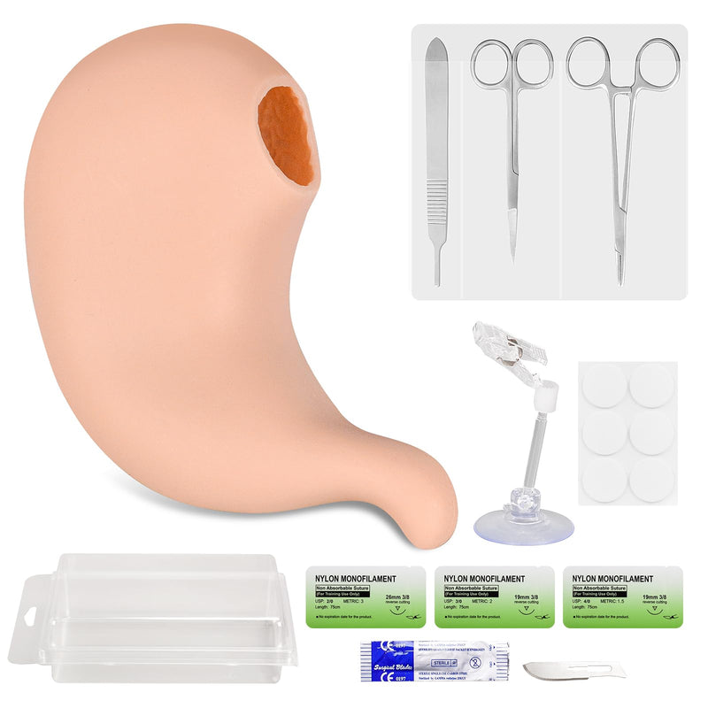 [Australia - AusPower] - Hollow Stomach Suturing Model - Hollow Organ Suture Practice Kit, Medical Nursing Student Supplies, Suture kit Perfect for Medical Students & Vet Training 