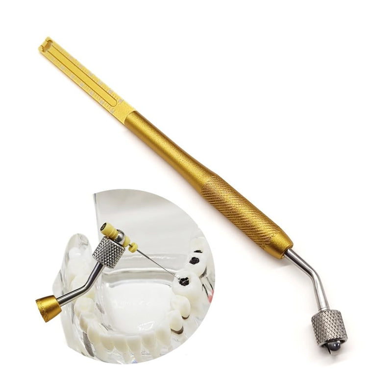[Australia - AusPower] - 1 Piece Dental Handuse Files Gripper Endodontic Files Holder Root Canal Files Machine Rotary Files Holder with Endo Ruler 
