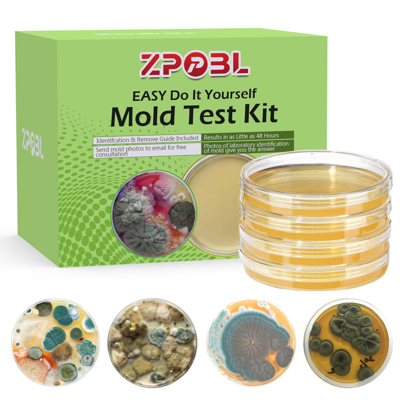 [Australia - AusPower] - Mold Test Kit for Home, 4 Detection Tests for HVAC, Surfaces & Indoor Air Quality, DIY Black Home Mold Detector Testing kit, Identification Guide & Free Lab Analysis Included 