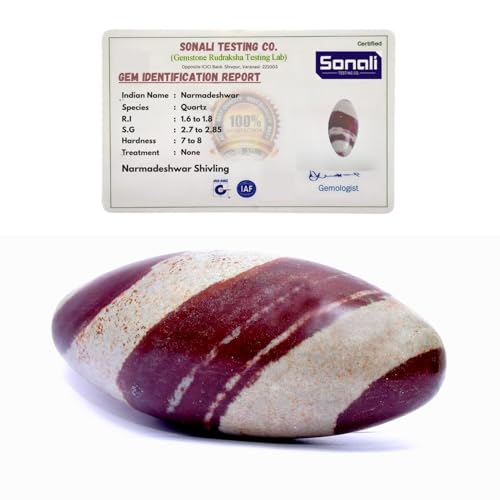 Certified Narmadeshwar Shivling | Sacred Narmada Stone Shiva Lingam Banalinga for Temple & Home | Rare Healing Crystal from Narmada River India – Spiritual Hindu God Idol (4 Inch) 4 Inch