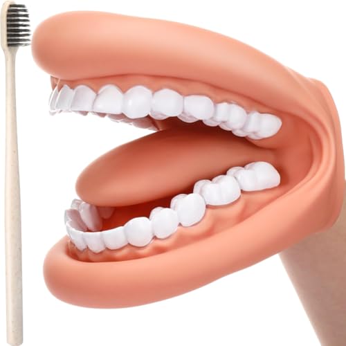 Dental Model Dental Model, Hand Puppet, Teeth Mouth Model with Toothbrush, Demonstration Anatomical Tooth Model for Dental Teaching or Oral Care