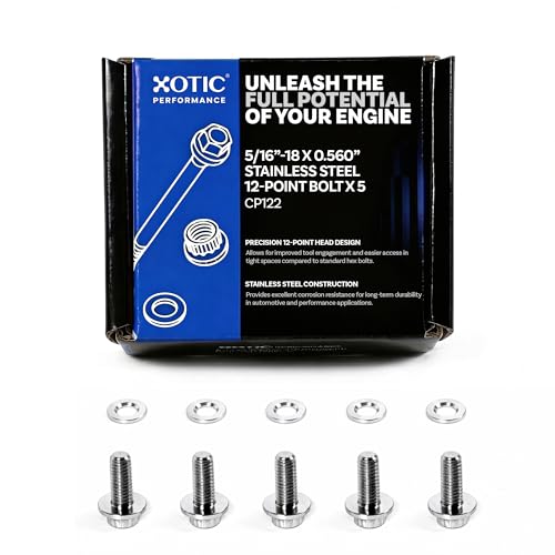 5/16”-18 x 0.560” Stainless Steel 12-Point Bolt x 5 - CP122