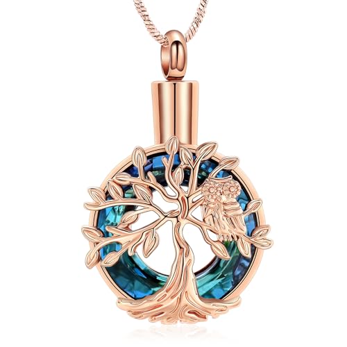 Yinplsmemory Owl Cremation Jewelry Urn Ashes Necklace for Women Rose gold-blue
