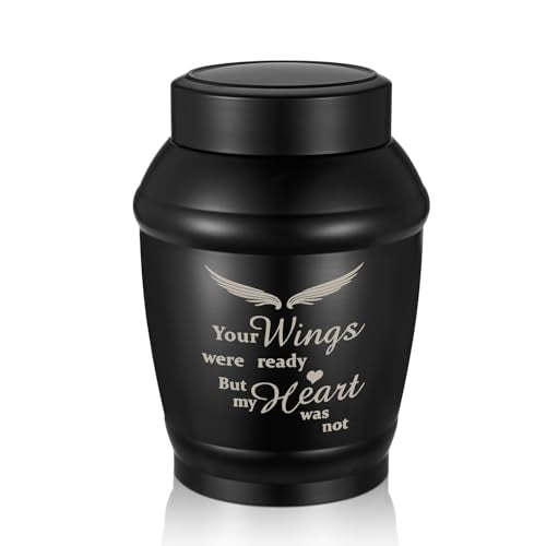 SOITIS 5.5" Wings Urns for Ashes Medium Urns for Human Ashes for Women Men