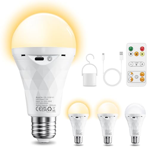 E27 LED Light Bulb with Battery Remote Control Dimmable Battery Bulbs 2600 mAh | Outdoor lamp, timer light bulb base and USB rechargeable dual purpose for table lamp/camping (3000K/4000K/6500K) 3 Color Temperatures, 1 Piece