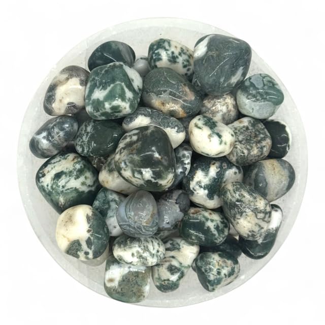 Pachamama Essentials Tree Agate Tumbled - Healing Stone - Crystal Healing 20-25mm (3) 3