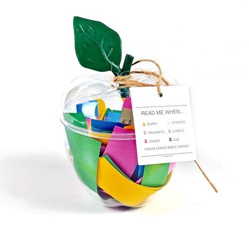 Large Apple Container with 96 Color-Coded Cards,Back to School Teacher Gift