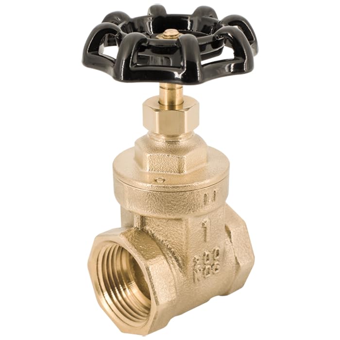 Legend Valve 104-301 1/4" T-401 GATE VALVE Model T-401