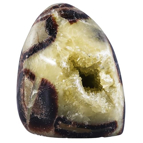 Natural Septarian Dragon Stone Geode Healing Crystal Geode Decor 0.22-0.44lb(100g-200g)