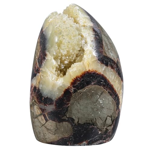 Natural Septarian Dragon Stone Geode Healing Crystal Geode Decor 0.66-0.88lb(301g-400g)