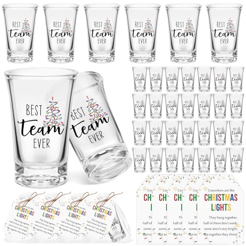 Vesici 40 Sets Employee Coworker Christmas Bulk Gifts Shot Glasses, Light