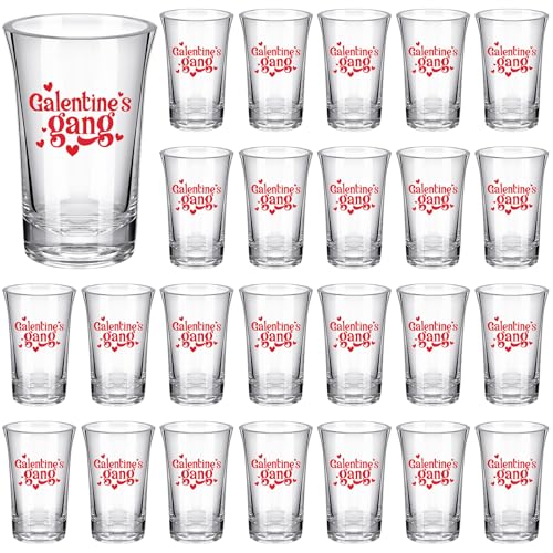 Qinyoung 24 Pcs Galentines Day Shot Glasses Cups Gang Gift Bulk