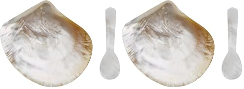 2 Pcs Natural Shell Plate Set, Mother of Pearl Caviar Plate and Pearl Spoon, Caviar Spoon and Dish Set for Jewelry, Appetizers, Desserts, Decorations (Pack of 2) 9.2-9.9cm (Pack of 2)
