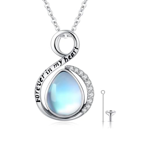 Rose Urn Necklace for Women Sterling Silver Heart Urn Necklace for Ashes Hummingbird Cremation Jewelry Gifts for Ashes of Loved One A-Urn