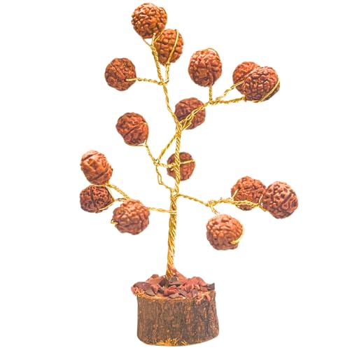 Rudraksh Beads Tree with Natural Wood Base – Handmade Spiritual Bead Decorative Ornament for Home and Office Decor Rudraksh Beads