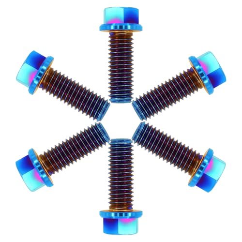 TIRYTU titanium flange hex bolts, M8x20mm, 6-piece set in burnt blue finish