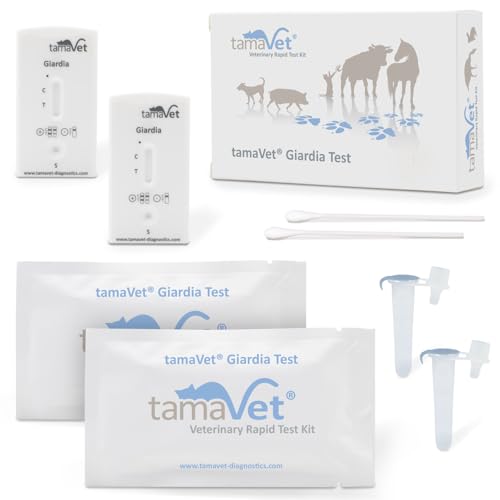 2 x Giardia Quick Test Dog & Cat – Immediate Confidence About Your Pet's Health in Diarrhoea and Intestinal Parasites – For Detection of Giardia Antigens in Animal Faeces
